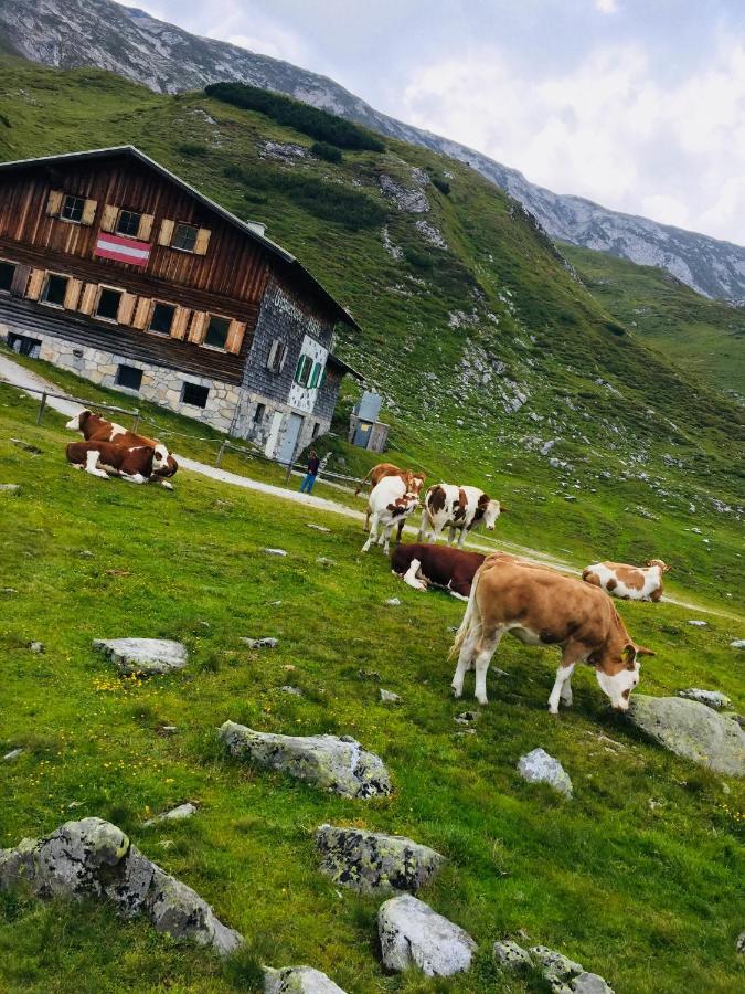 Appartement Deluxe Alpenkrone *