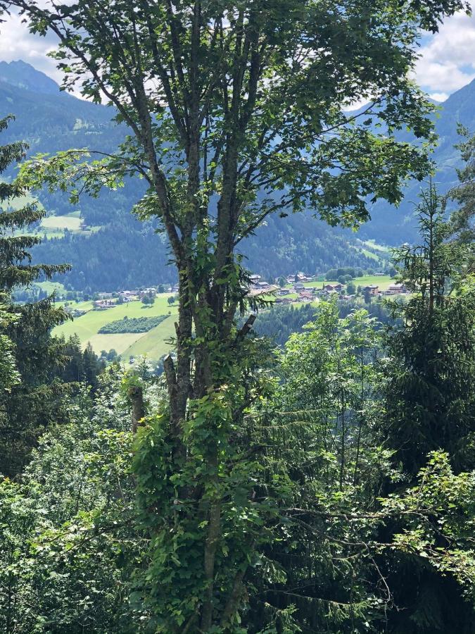 Deluxe Alpenkrone Schladming